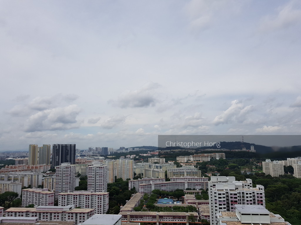 Blk 416 Clementi Avenue 1 (Clementi), HDB 5 Rooms #131031282